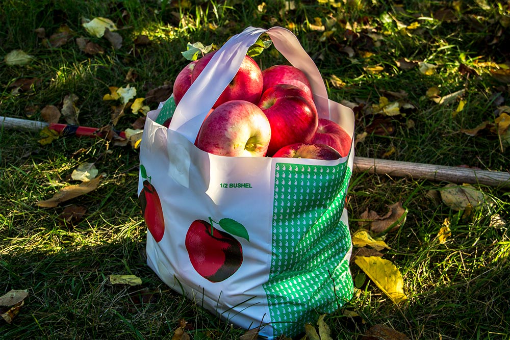 Half Bushel of Apples in Bag