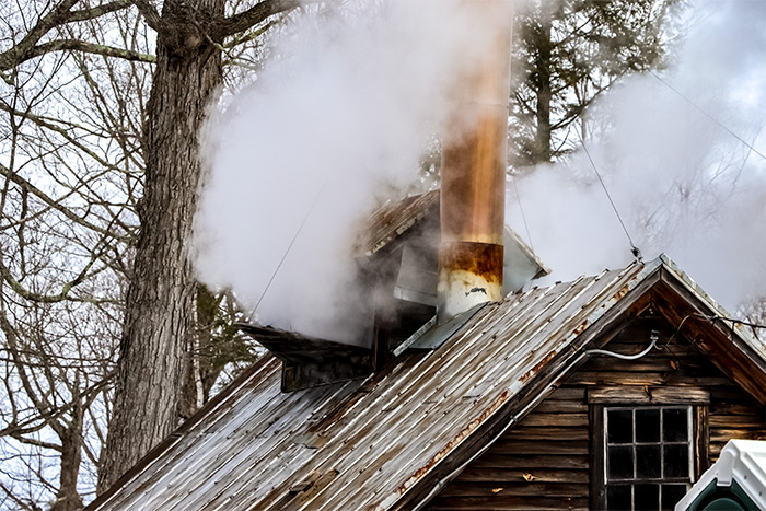 Sap House Steam From Boiling
