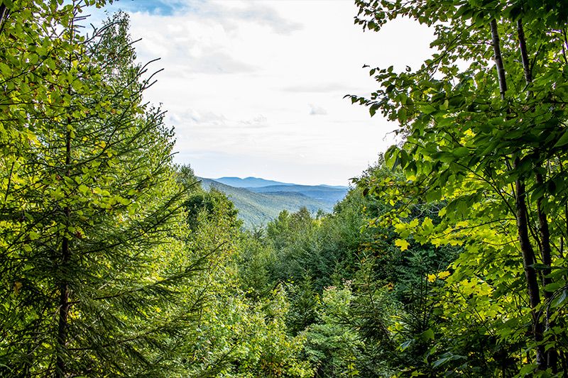 Scenic View from Poplar Mountain Trail in Maine