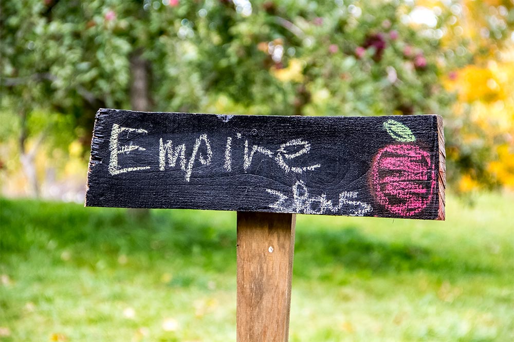 Empire Apple Trees