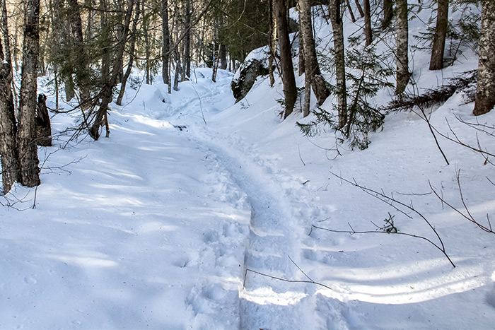 Skinny Snow Trail