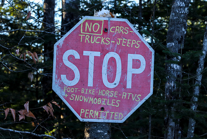 Stop Sign in Woods