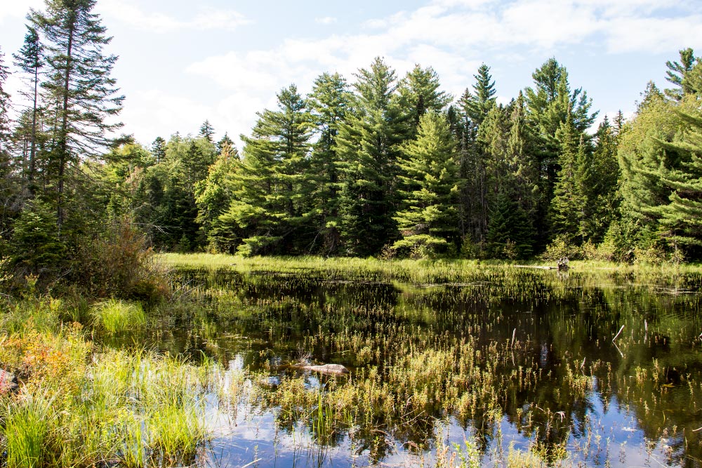 Beautiful Maine Pond in Carrabasset Valley