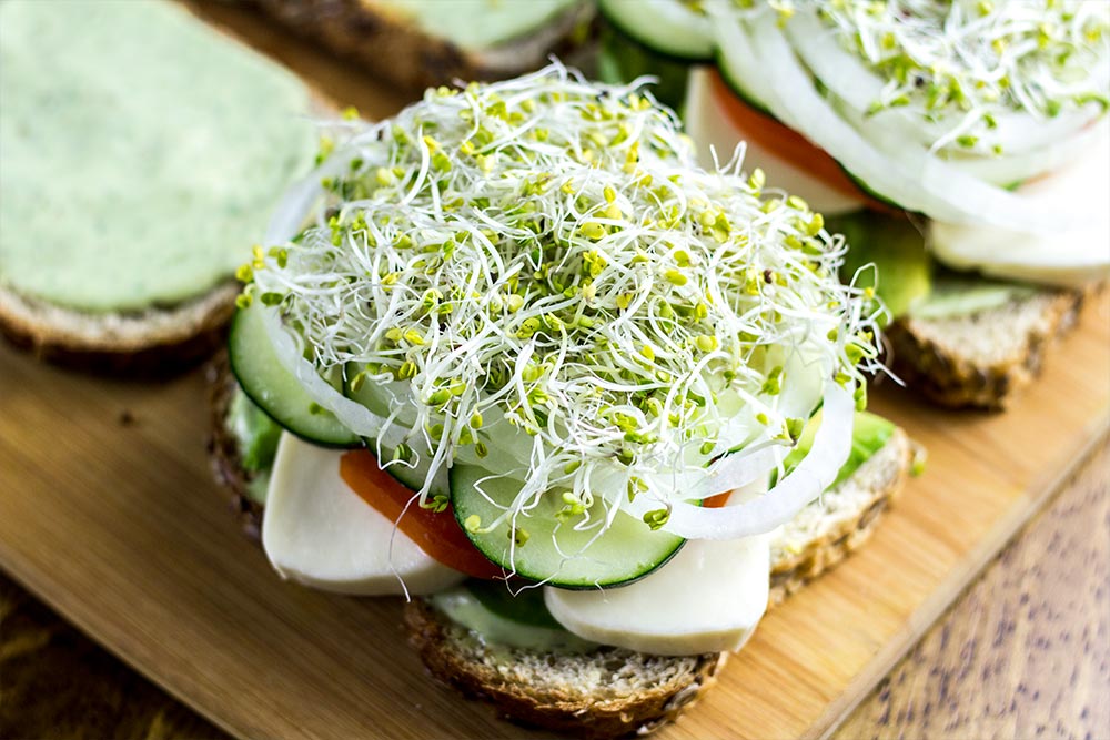 Adding Fresh Sprouts to Sandwich