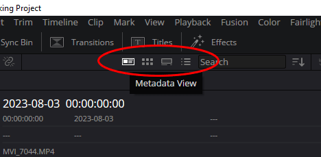 Clip View Options for Media Pool