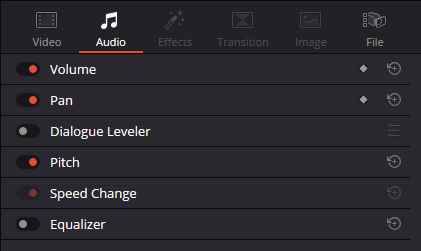 Inspector Panel - Audio Section