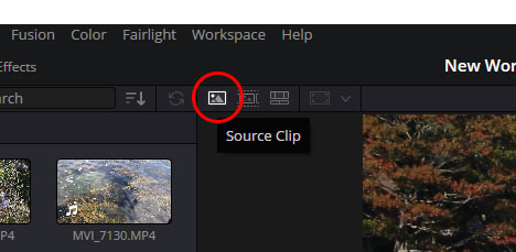Source Clip Button