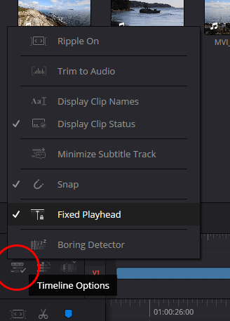 Fixed Playhead Option in the Timeline Options Menu