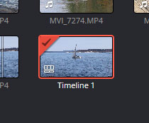 Timeline Thumbnail with Video Clip