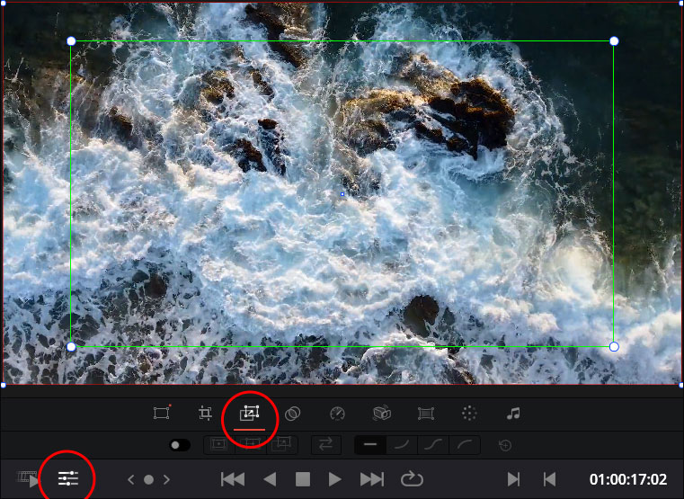 Dynamic Zoom Tool in the Monitor