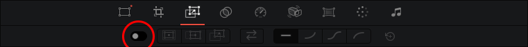 Dynamic Zoom On/Off Button in Tools Toolbar