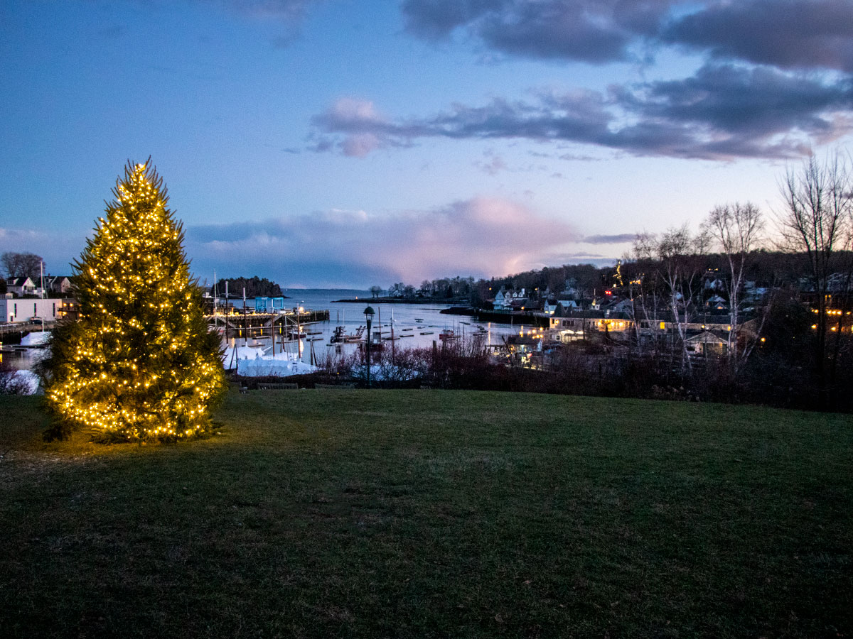 Christmas Tree Over Camden Harbor