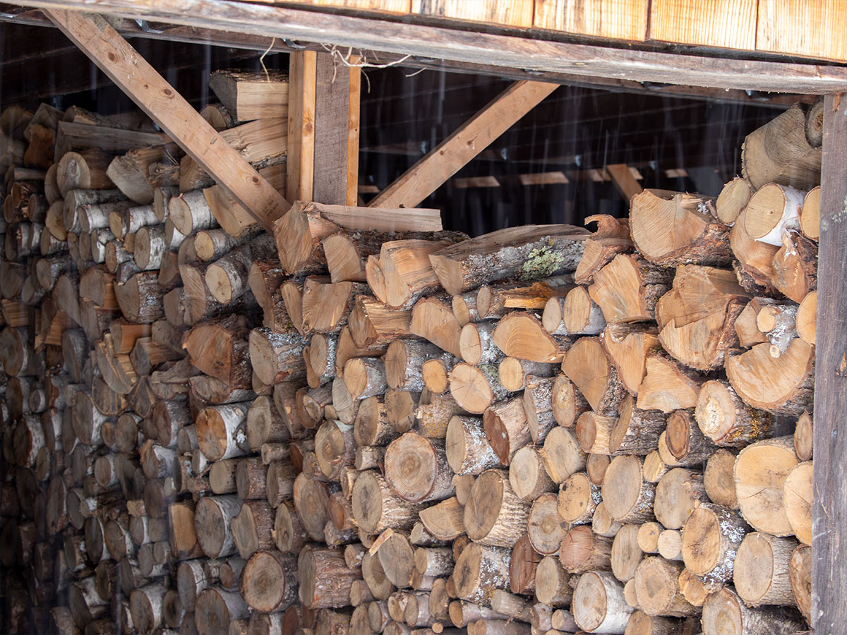 Quintessential Stack of Firewood in Wood Shed