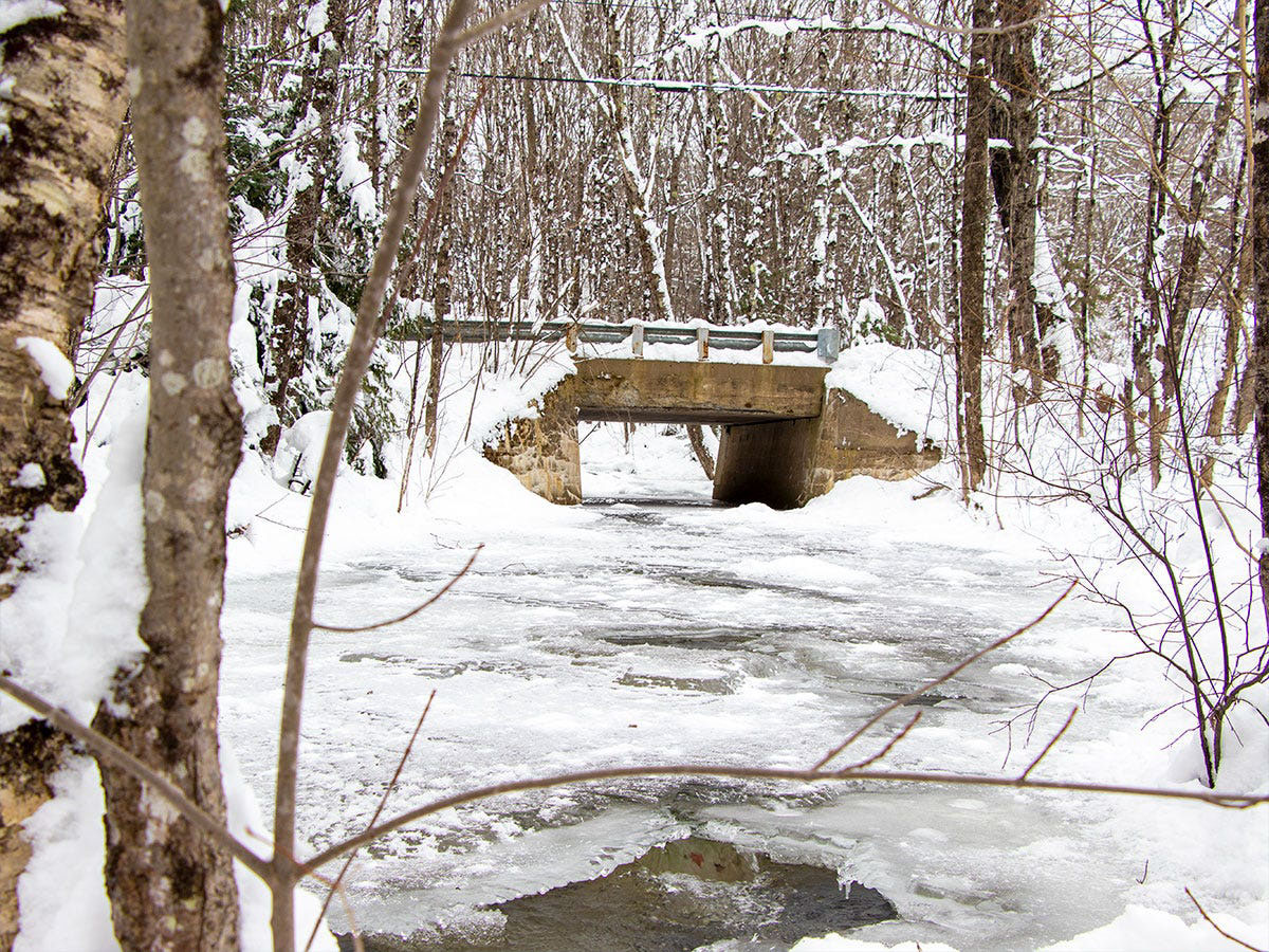 Bridge & Frozen Stream