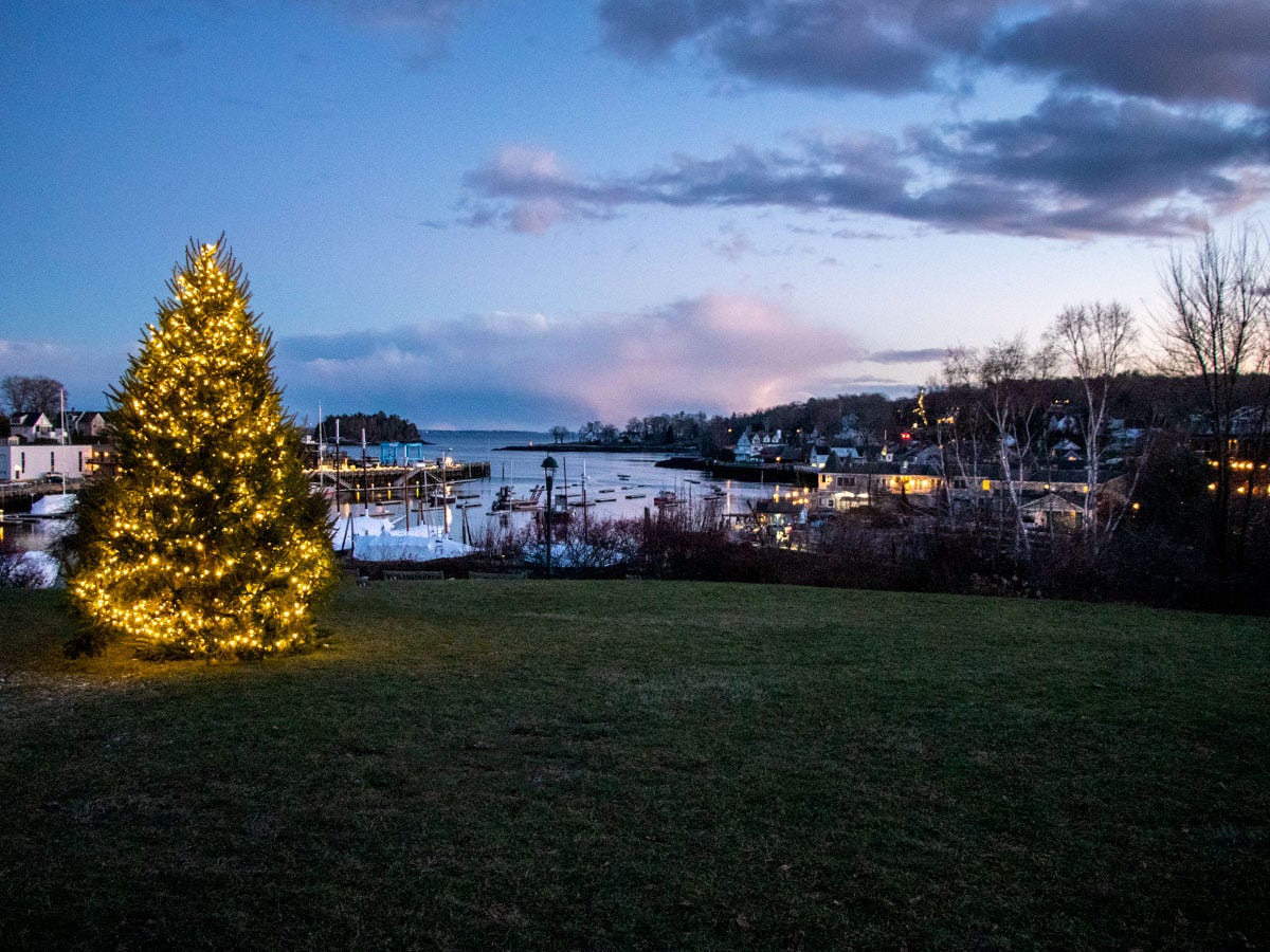 Christmas Tree Overlooking Camden Harbor