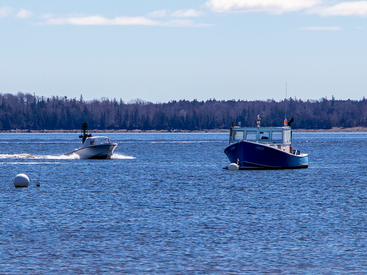 Boats Near Islesboro, Maine