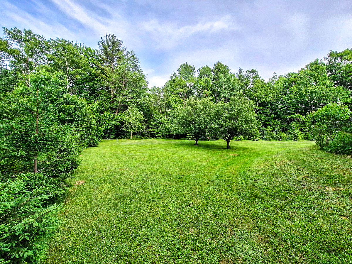 Back Yard with Apple Trees